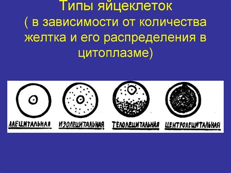 Генетические механизмы формирования стабильных микросателлитов