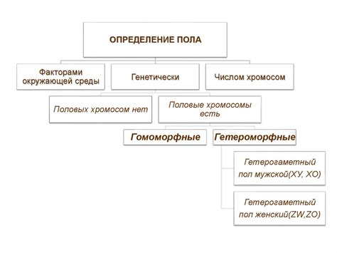 Генетический механизм передачи эритемы многофакторный