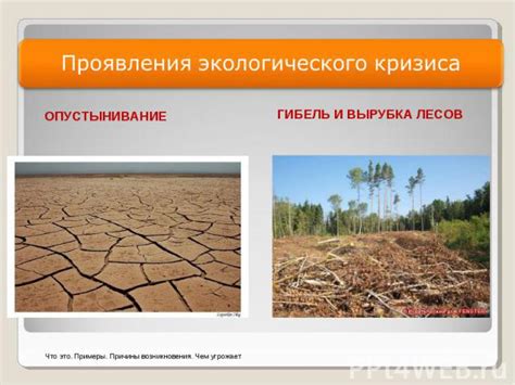 Глобальный кризис и его влияние