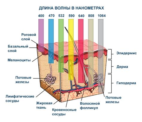 Глубина взгляда и его воздействие