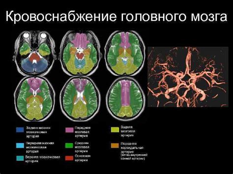 Головокружение как реакция на ухудшение кровоснабжения головного мозга