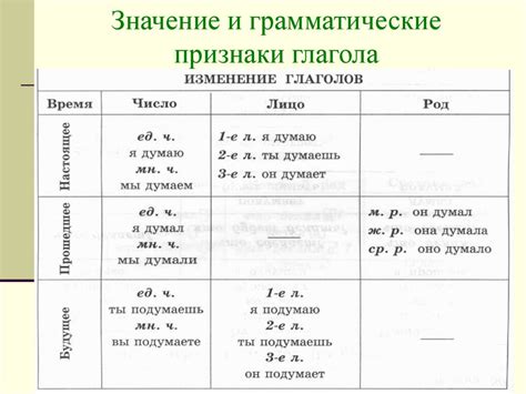Грамматические особенности прилагательных и глаголов