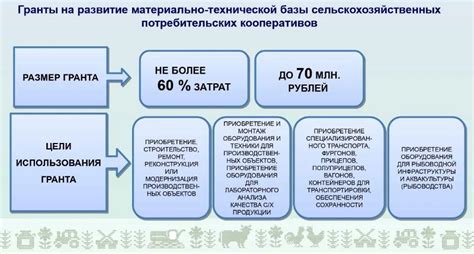 Гранты и субсидии: ключевые отличия