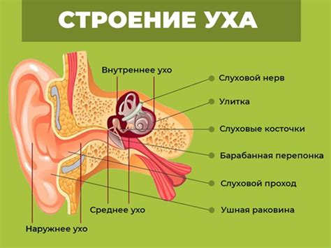 Давление внутри уха