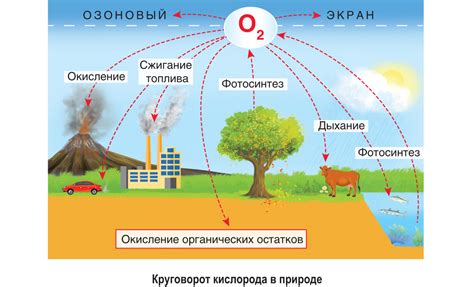 Давление и взаимодействие кислорода с водой