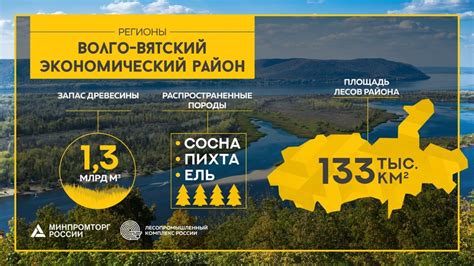 Демографическая ситуация в Волго-Вятском районе
