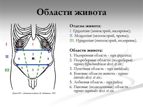 Диагностика напряжения в животе