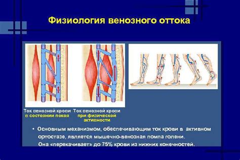 Диагностика нарушения венозного оттока