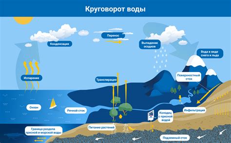 Диагностика на предмет воды