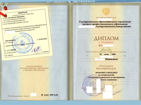 Диплом и возможности выбора