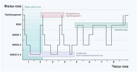 Длительность светового и темного периода сна в разных возрастных категориях