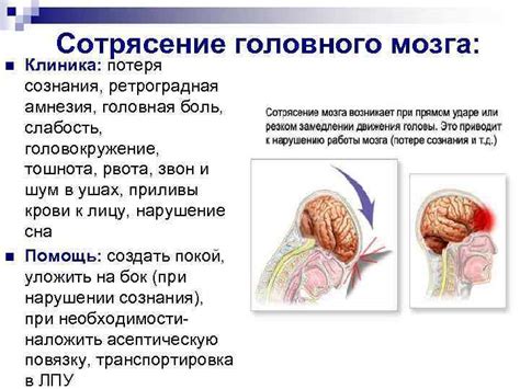 Дозировка магния при сотрясении головного мозга