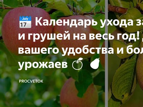 Дополнительные рекомендации для удобства использования и ухода за люстрой Link