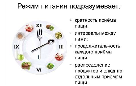 Достижение энергии и поддержание формы путем контроля порций и режима приема пищи
