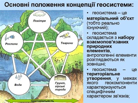 Единство природных компонентов