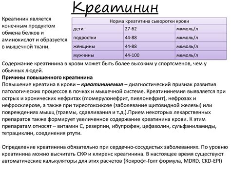 Естественные способы улучшения показателей содержания креатинина в организме