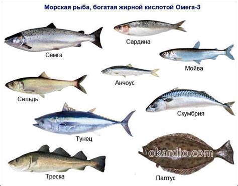 Жирная рыба