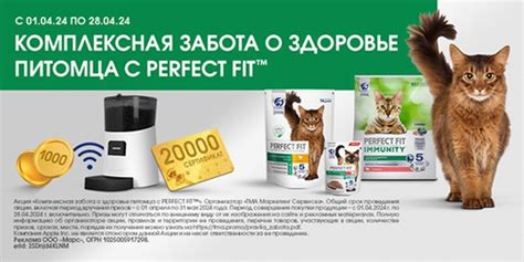 Забота о здоровье питомца