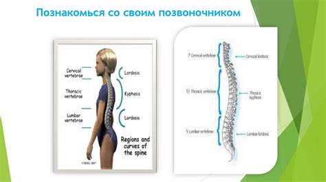 Забота о позвоночнике важна