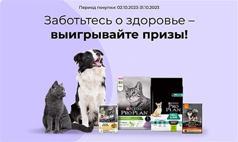 Заботьтесь о здоровье котят и посещайте ветеринара