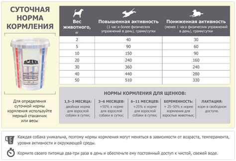 Зависимость от сухого корма и потеря природных инстинктов