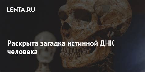 Загадка истинной клички