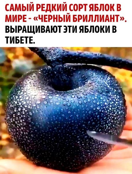 Загадочная природа мигания