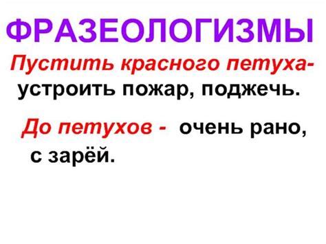 Загадочное выражение "На прю мою что это значит": его значения и происхождение