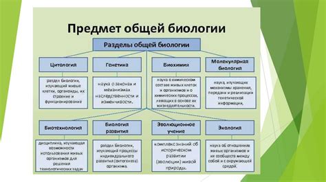 Заглянем в прошлое: исторический обзор развития семьи биологических наук