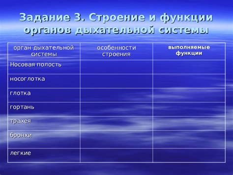 Задачи и функции, выполняемые программной частью системы