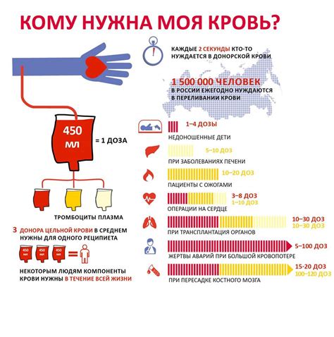 Заключительные рекомендации по спорту и донорству крови