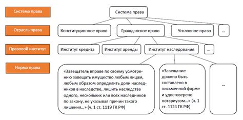 Законодательство о пристегивании в городском автобусе: правовые нормы и санкции
