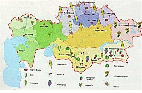 Замечательные формы жизни в сухих регионах Казахстана