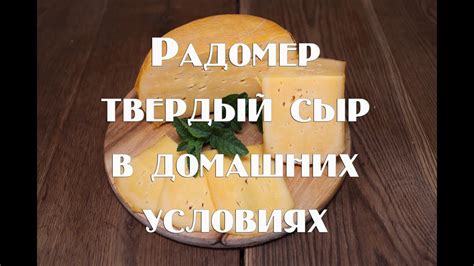 Заморозка голландского сыра в домашних условиях
