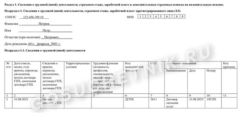 Запуск модуля для работы с ОКЗ