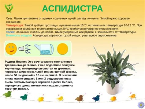 Зачем серебру требуется регулярное уход