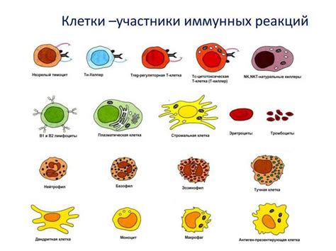 Защита клетки