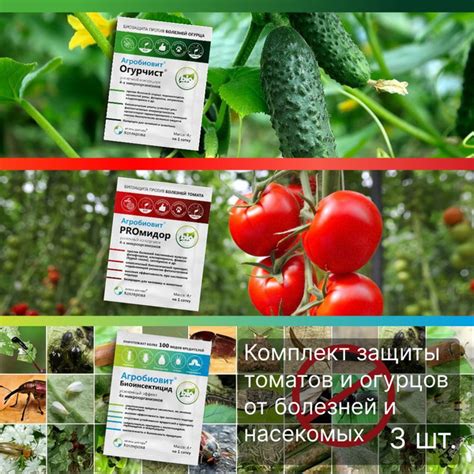 Защита молодых огурцов от насекомых и заболеваний