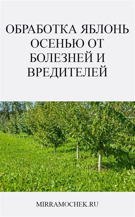 Защита от болезней и вредителей колоновидных яблонь