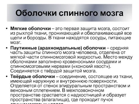 Защита спинного мозга