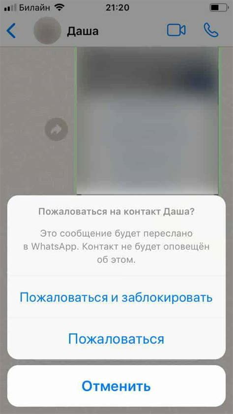 Звуковой тест: как узнать, что дынья с зеленой шкуркой - именно то, что вам нужно!