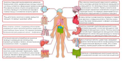 Здоровье желудка и кишечника в контексте употребления алкоголя