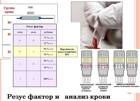 Здоровье и резус-фактор крови