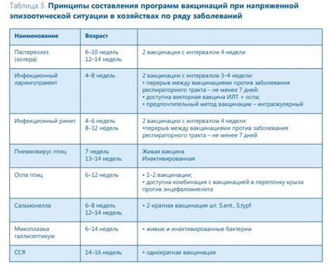 Здоровье несушек и профилактика болезней