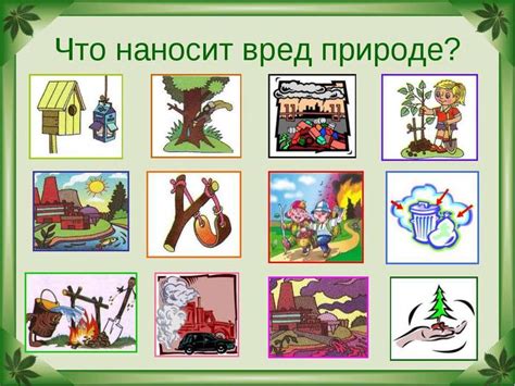 Знаки в поведении пернатых созданий