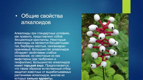 Значение алкалоидов для растений