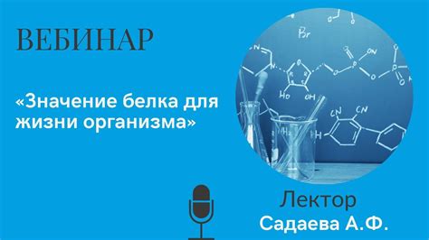 Значение белка CD20 для эндометрия