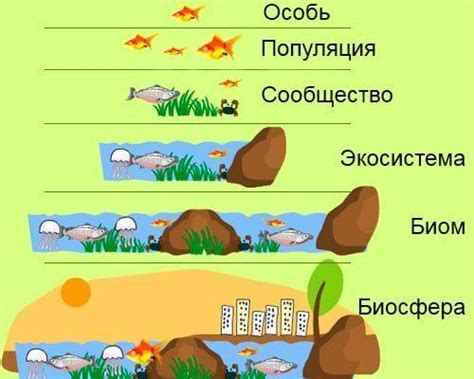 Значение бобрика для экосистемы