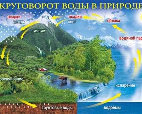 Значение водохранилищ для экосистемы