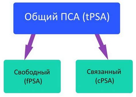 Значение выражения "на пса" в современном мире